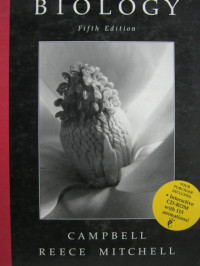 Image of Biologi Jilid 2
CAMPBELL
REECE - MITCHELL