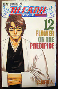 Image of BLEACH Vol.12 Flower On The Precipice