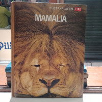 Image of Mamalia
