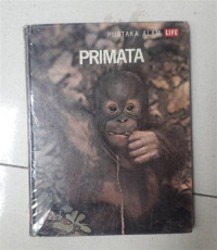 Image of Primata